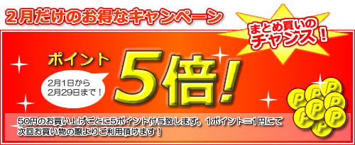 2月はポイント5倍！お得なお買いものをお楽しみください！