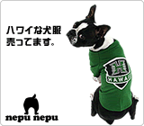ハワイな犬服専門店ネプネプ