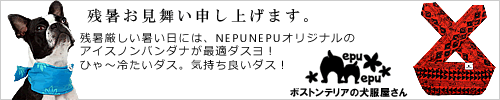 ボストンテリアなどの骨太犬種専用！ハワイなドッグウェア「NepuNepu（ネプネプ）」オープン！