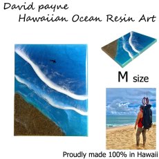 画像2: デイヴィッドペイン ハワイアン レジン アート Mサイズ (2)