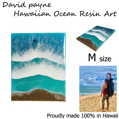 画像1: デイヴィッドペイン ハワイアン レジン アート Mサイズ
