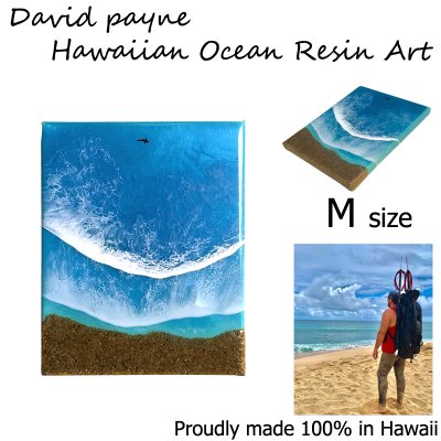 画像1: デイヴィッドペイン ハワイアン レジン アート Mサイズ