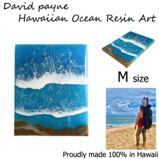 画像2: デイヴィッドペイン ハワイアン レジン アート Mサイズ (2)