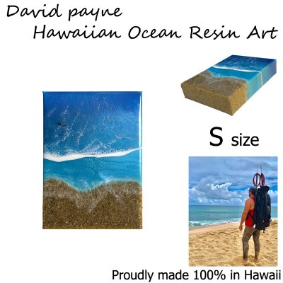 画像1: デイヴィッドペイン ハワイアン レジン アート Sサイズ