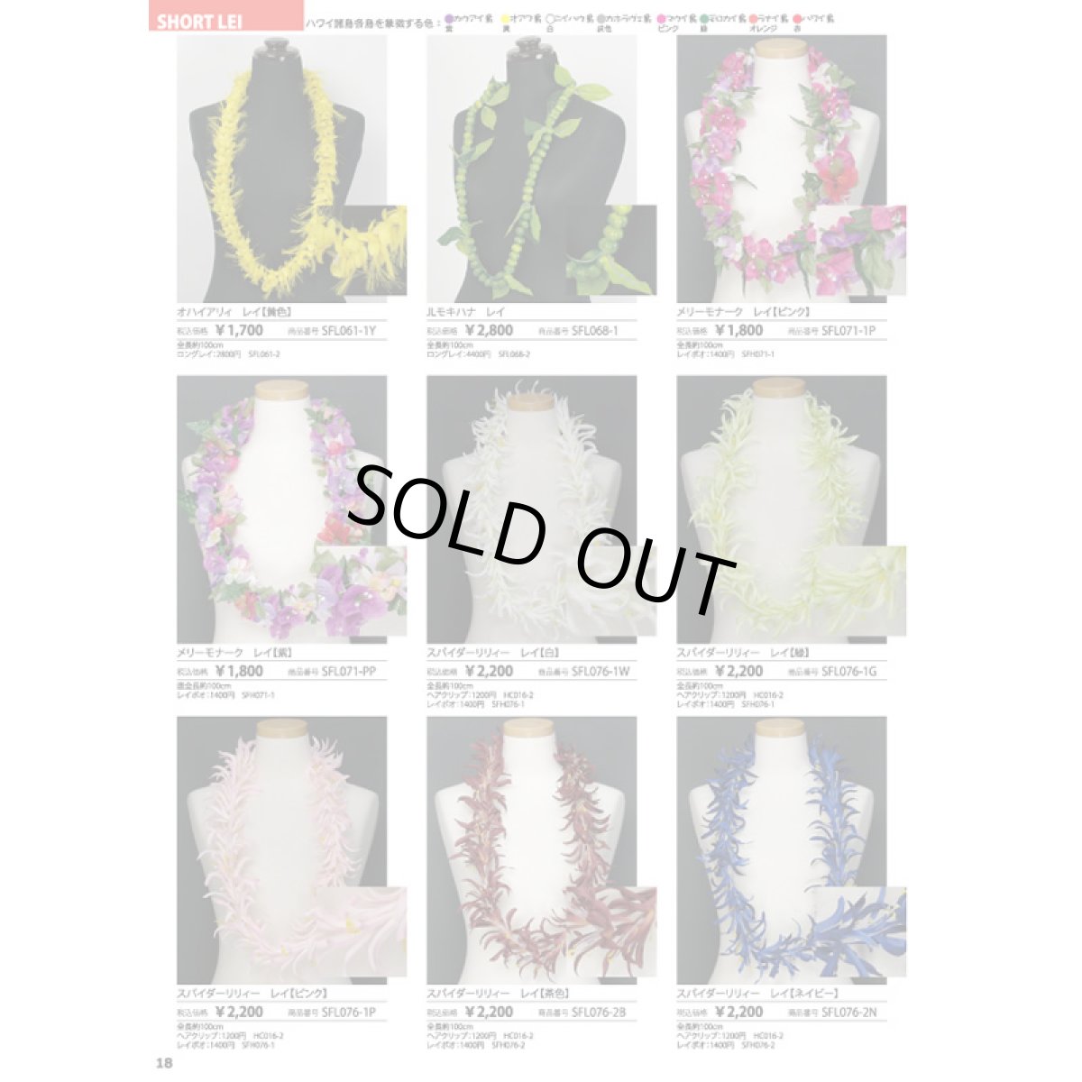 画像4: 無料配布中フラダンス用品通販カタログ [Hula Supply Catalogue Vol.2] (4)