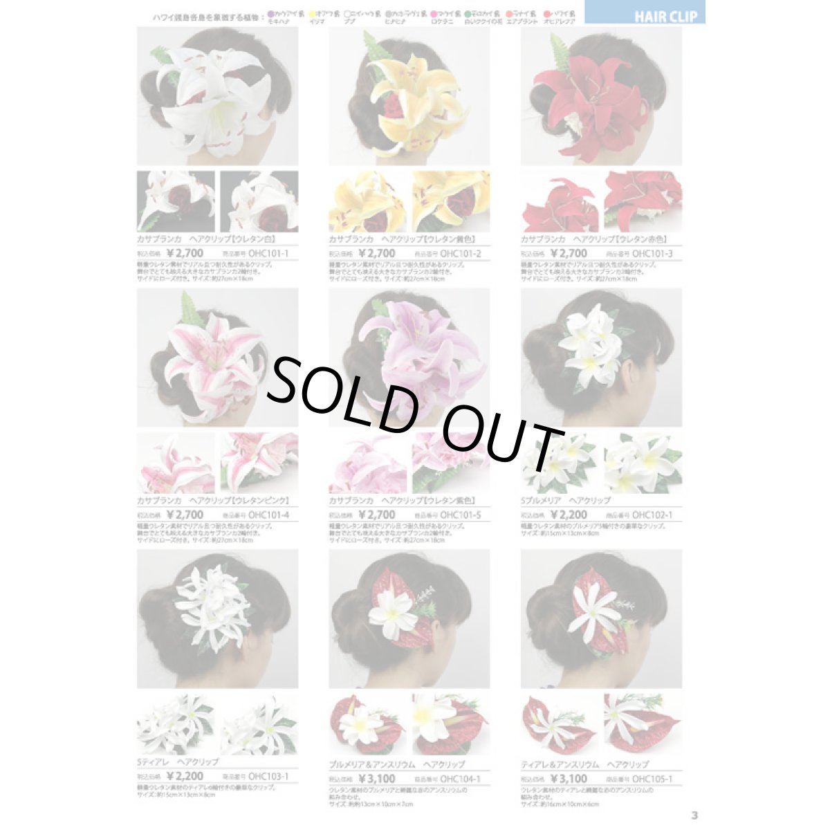 画像3: 無料配布中フラダンス用品通販カタログ [Hula Supply Catalogue Vol.2] (3)