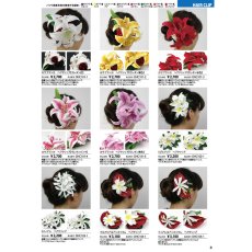 画像3: 無料配布中フラダンス用品通販カタログ [Hula Supply Catalogue Vol.2] (3)