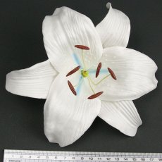 画像2: カサブランカ（ユリ）白色（中心水色）造花ウレタンフォームフラワー花材 アウトレットSale (2)