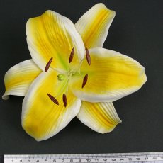 画像2: カサブランカ（ユリ）黄色（ふち白色）造花ウレタンフォームフラワー花材 アウトレットSale (2)