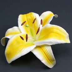 画像3: カサブランカ（ユリ）黄色（ふち白色）造花ウレタンフォームフラワー花材 アウトレットSale (3)