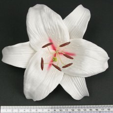 画像2: カサブランカ（ユリ）白色（中心赤色）造花ウレタンフォームフラワー花材 アウトレットSale (2)