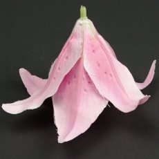 画像4: リリー（百合）ピンク色造花シルクフラワー花材 アウトレットSale (4)