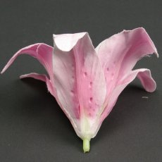 画像3: リリー（百合）ピンク色造花シルクフラワー花材 アウトレットSale (3)