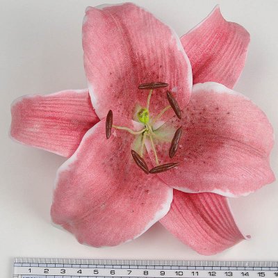 画像1: カサブランカ（ユリ）ピンク色造花ウレタンフォームフラワー花材 アウトレットSale