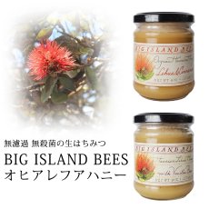 画像1: アイランドビーズ オヒアレフア ハニー フレーバーミックス  255g オーガニック USDA 非加熱 蜂蜜 (1)