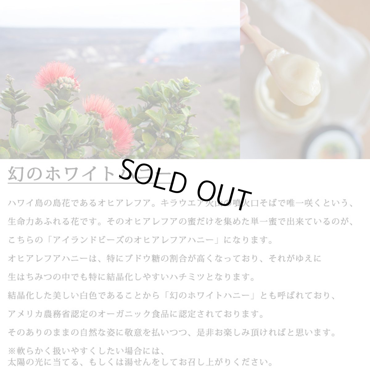 画像2: アイランドビーズ オヒアレフア ハニー フレーバーミックス  255g オーガニック USDA 非加熱 蜂蜜 (2)