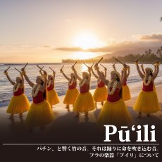 画像7: MuuMuuMama オリジナル プイリ (7)