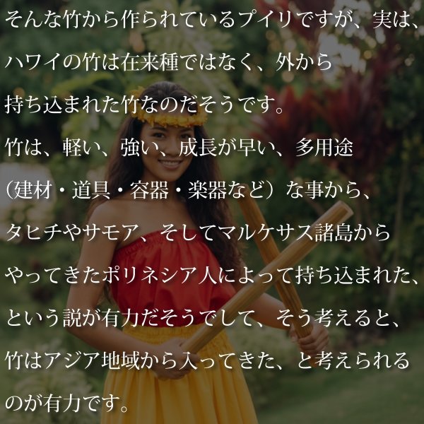 フラダンス楽器やタヒチアン用品の通販 MuuMuuMama オリジナル プイリ