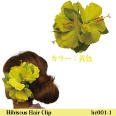 画像4: ラージハイビスカス・ヘアクリップ (4)