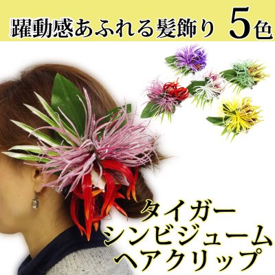 画像1: タイガーシンビジューム ヘアクリップ