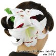 フラダンス 衣装 美品 シェルレイ カサブランカ クリップ セット