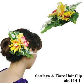 フラダンス用髪飾りとスカートセットとバッチ ヘアクリップ - 【ブルーヘヴンカンパニー】フラダンス衣装
