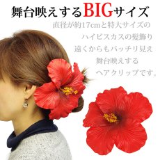 画像2: ビッグハイビスカス シングルヘアクリップ (2)