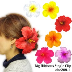 画像1: ビッグハイビスカス シングルヘアクリップ (1)