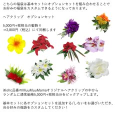 画像3: 盛れば盛るほど買い得に！ フラダンス 福袋 送料無料 (3)