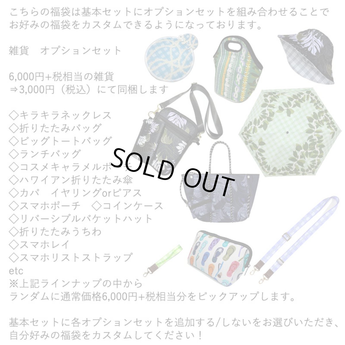 画像3: 盛れば盛るほど買い得に! フラダンス 福袋 送料無料 (3)