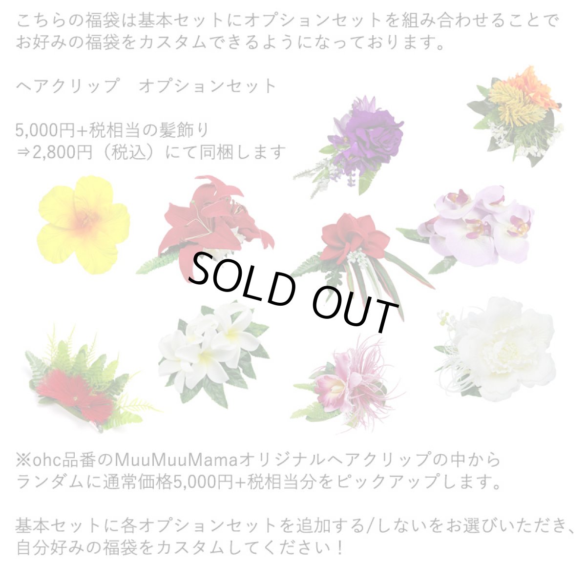 画像3: 盛れば盛るほど買い得に！ タヒチアン 福袋 送料無料 (3)