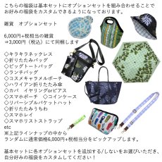 画像4: 盛れば盛るほど買い得に！ タヒチアン 福袋 送料無料 (4)