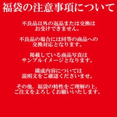 画像6: 盛れば盛るほど買い得に！ タヒチアン 福袋 送料無料 (6)