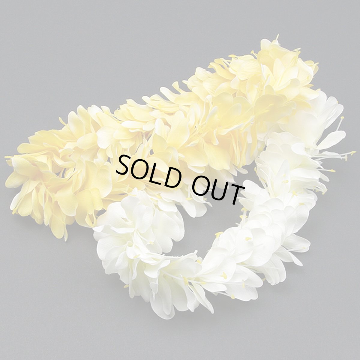 画像2: カヒリ・ジンジャー・レイポオ (2)