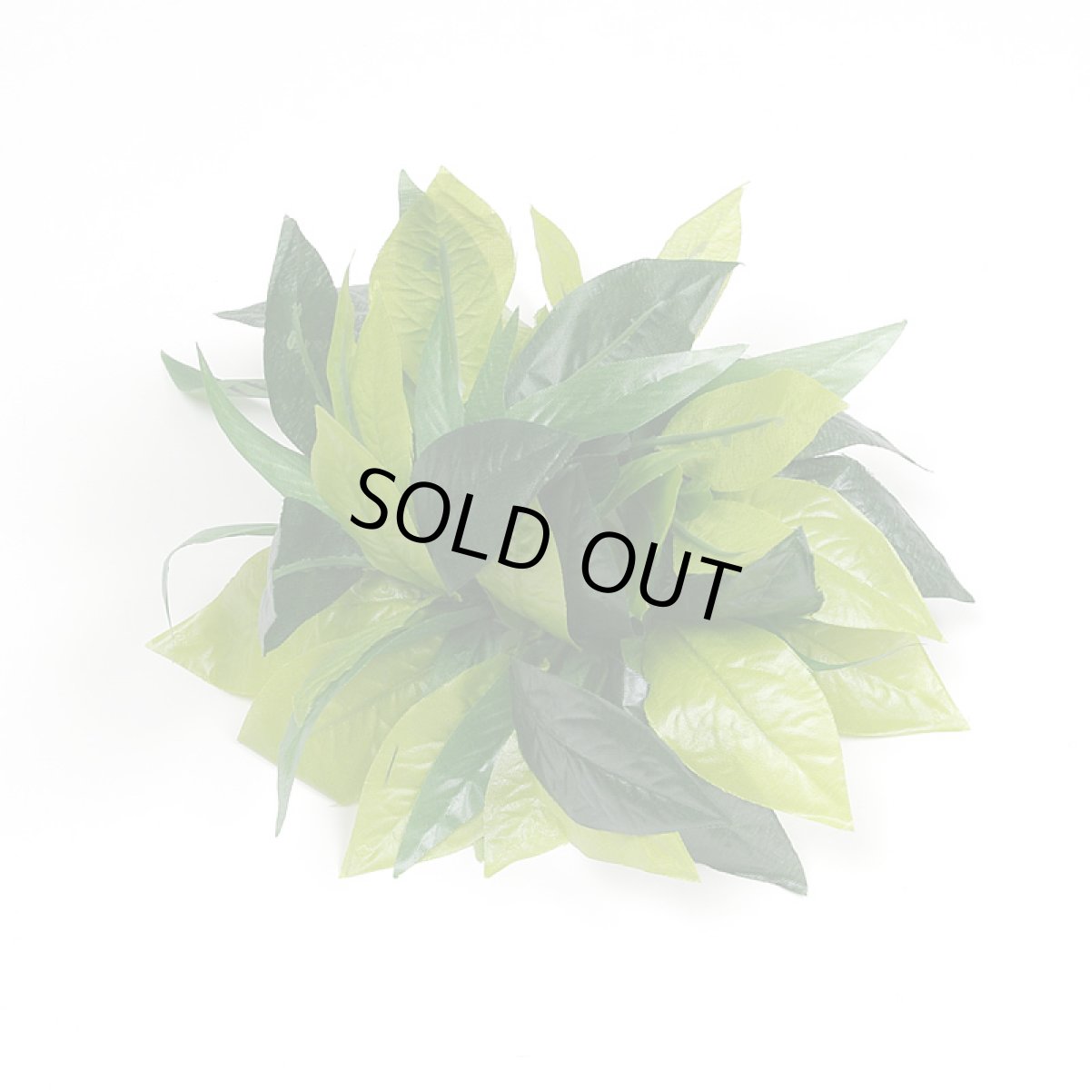 画像2: キングマイレ・ブレスレット (2)