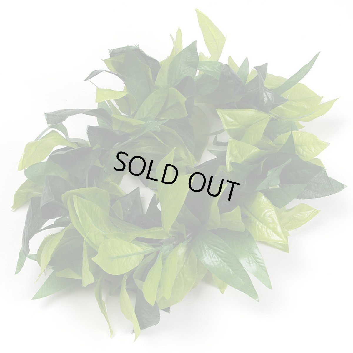 画像2: キングマイレ・レイポオ (2)