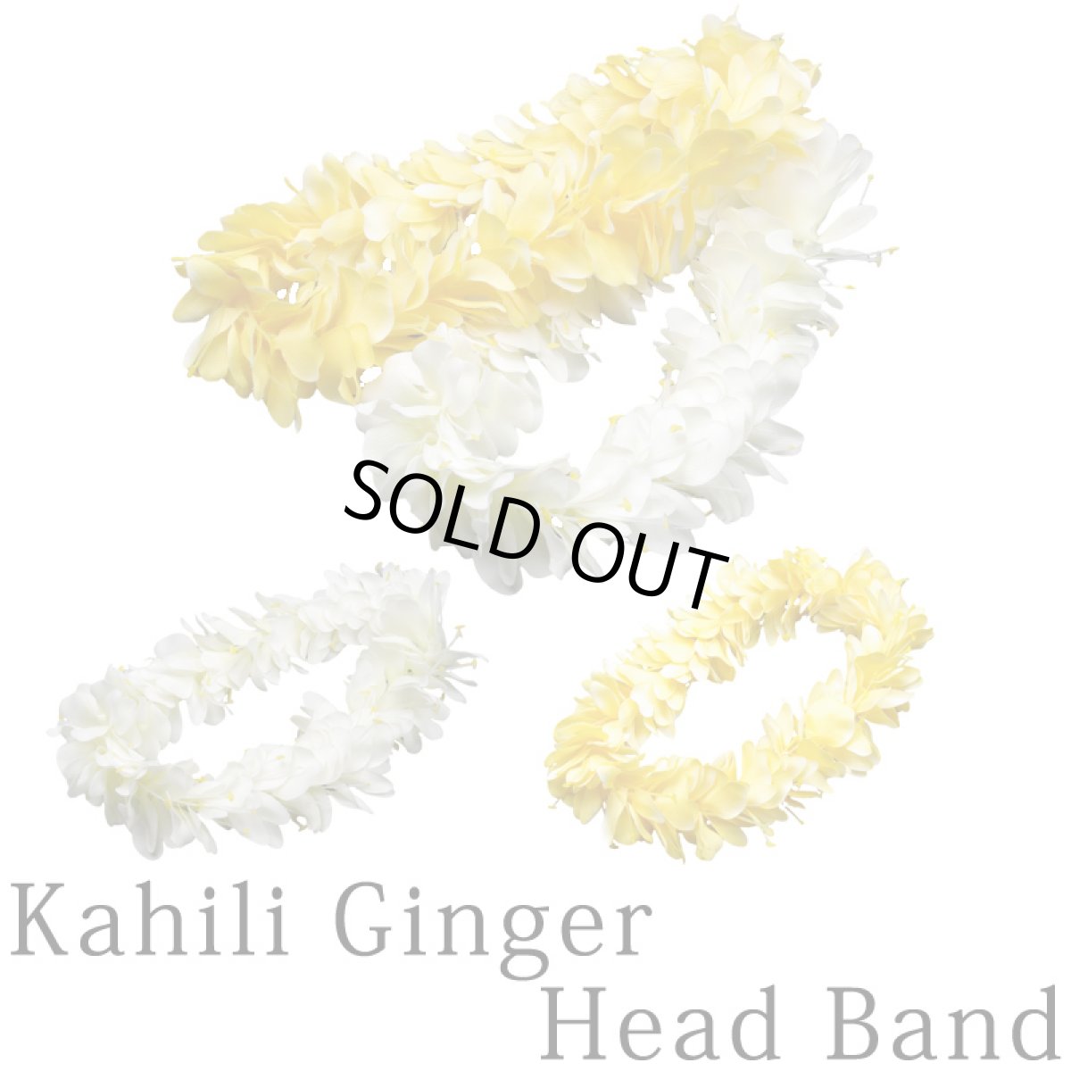 画像1: カヒリ・ジンジャー・レイポオ (1)