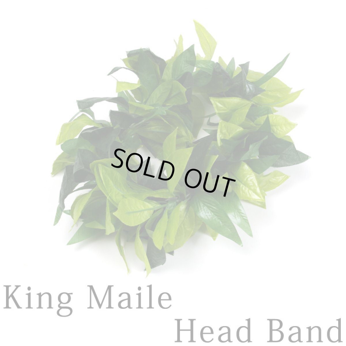 画像1: キングマイレ・レイポオ (1)