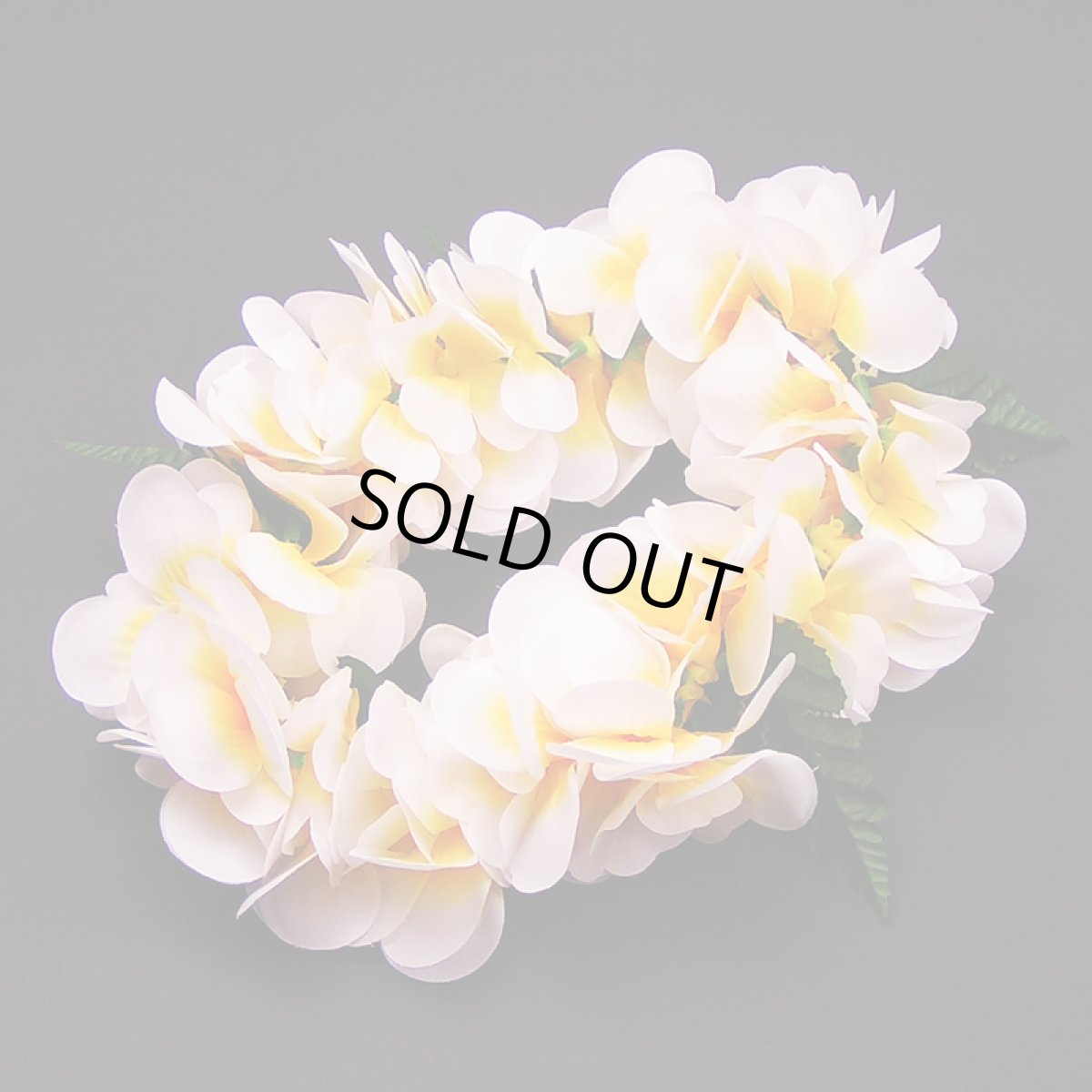 画像2: プルメリア・レイポオ (2)