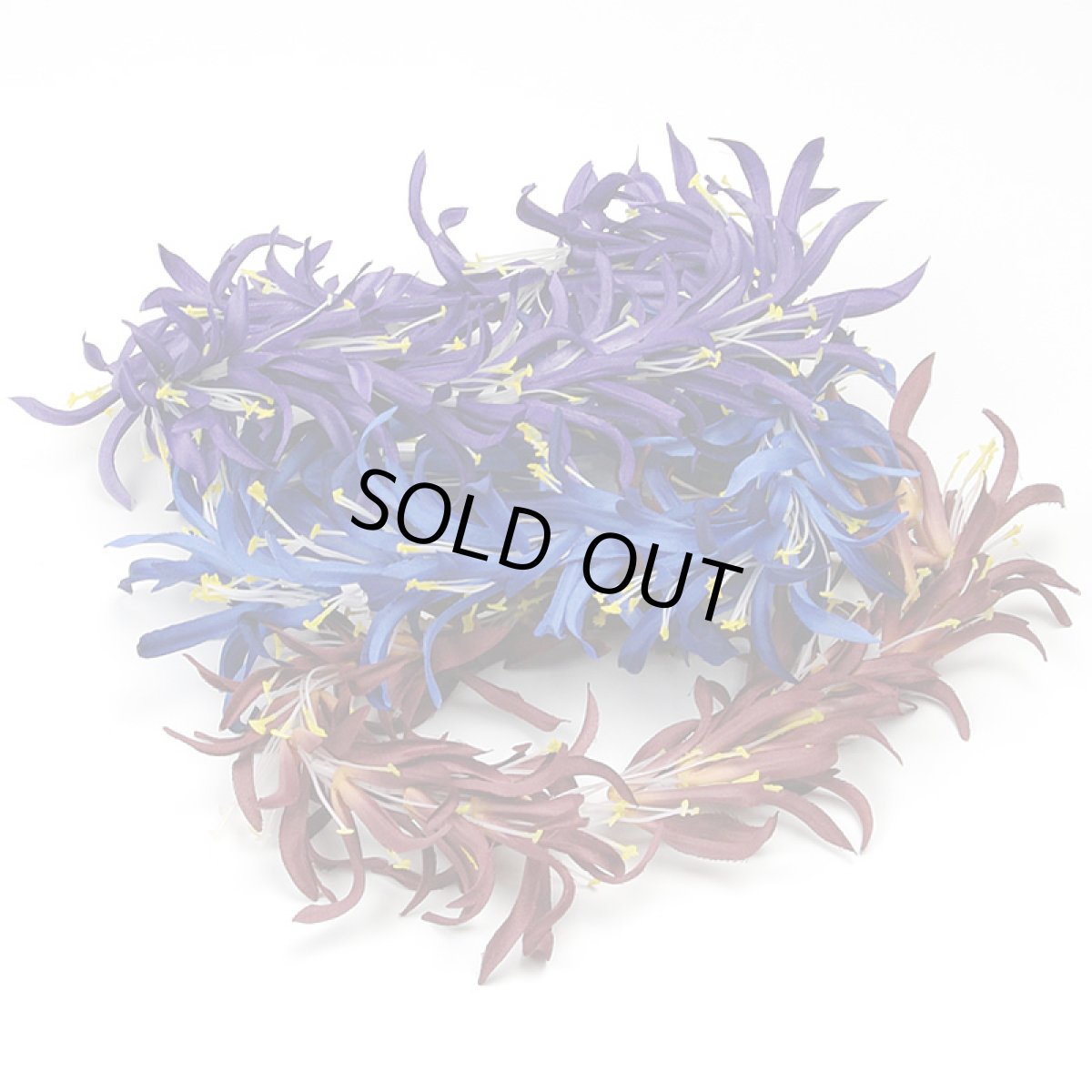 画像2: スパイダーリリィ・レイポオ (2)