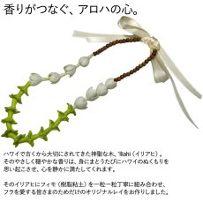 画像2: フィモ イリアヒ レイ パカラナ ピカケ ジャスミン ビャクダン サンダルウッド チョーカー ネックレス (2)