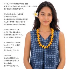 画像4: フィモ イリアヒ レイ プアケニケニ ビャクダン サンダルウッド チョーカー ネックレス (4)