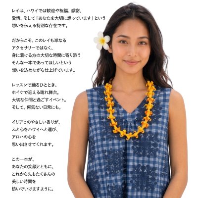 画像3: フィモ イリアヒ レイ プアケニケニ ビャクダン サンダルウッド チョーカー ネックレス
