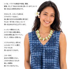 画像4: 送料無料 フィモ イリアヒ レイ ピカケ パカラナ ビャクダン サンダルウッド チョーカー ネックレス (4)