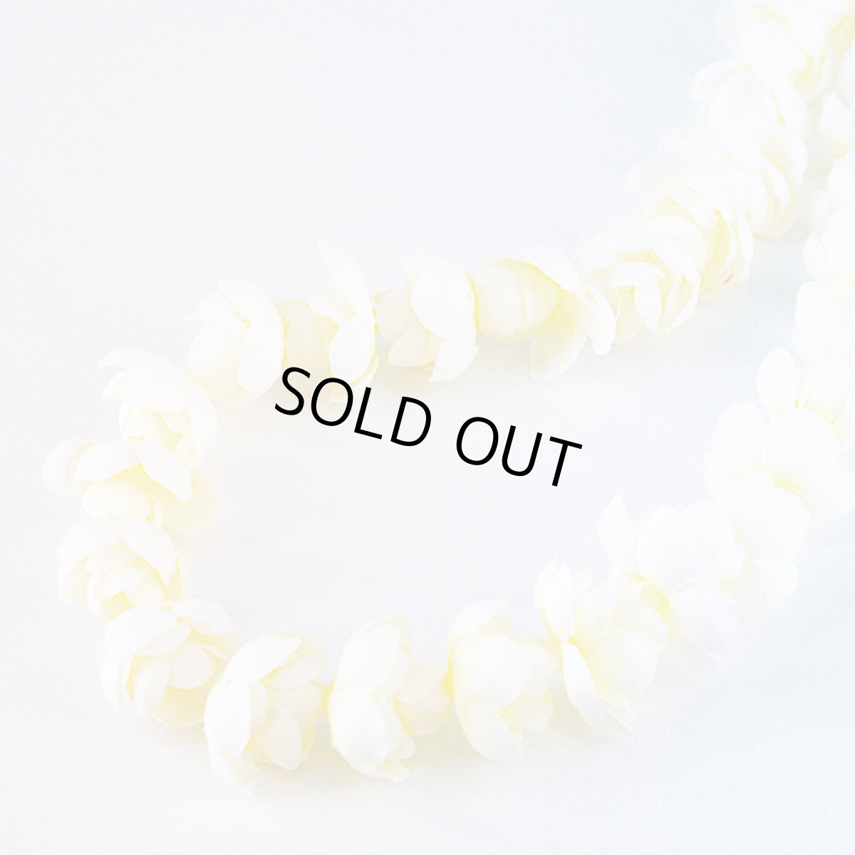 画像2: ピカケ ロングレイ (2)