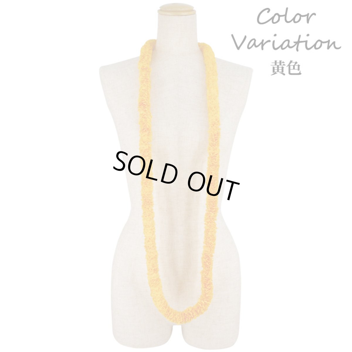 画像4: ニューイリマ・ロングレイ (4)