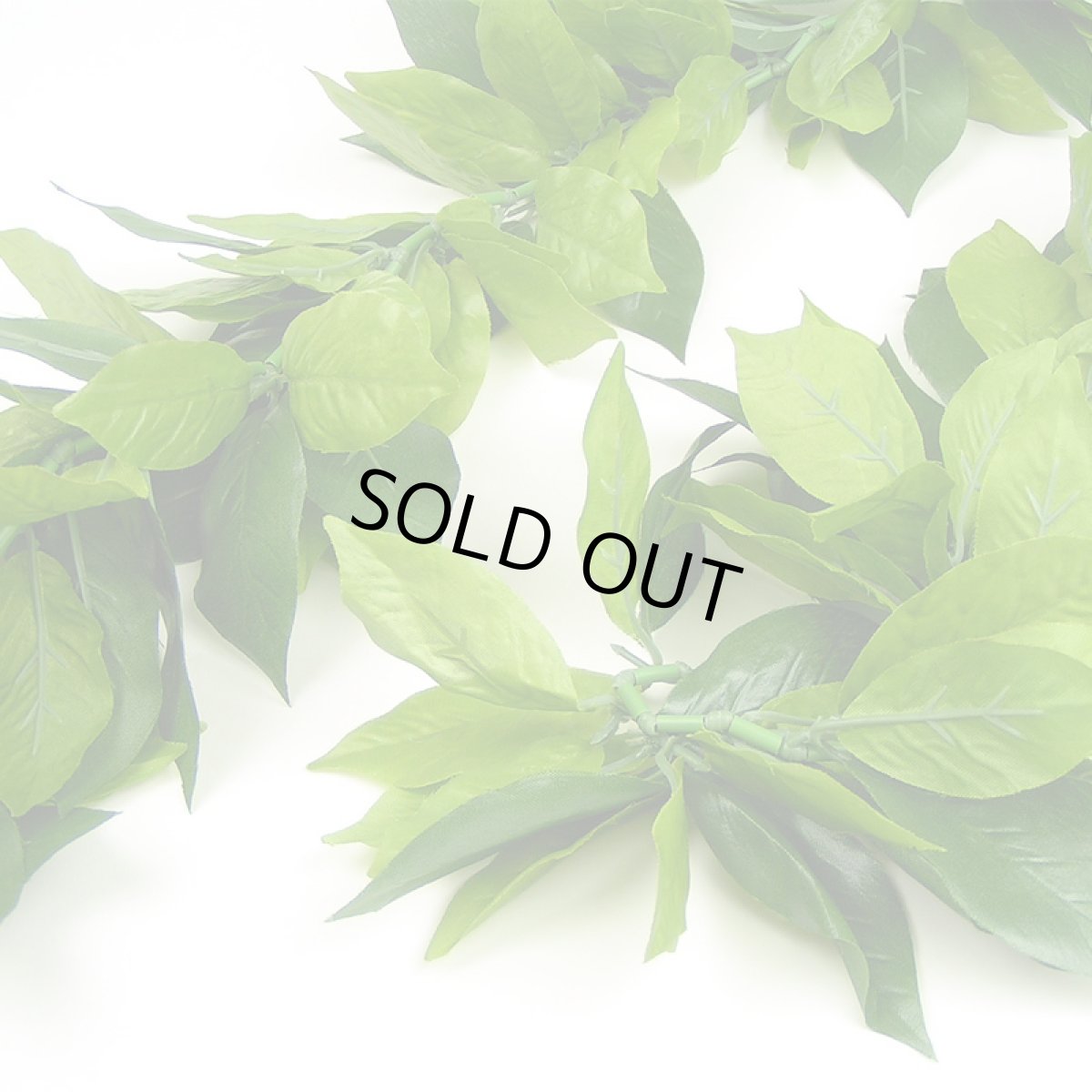 画像2: プレミアムマイレ オープンレイ (2)