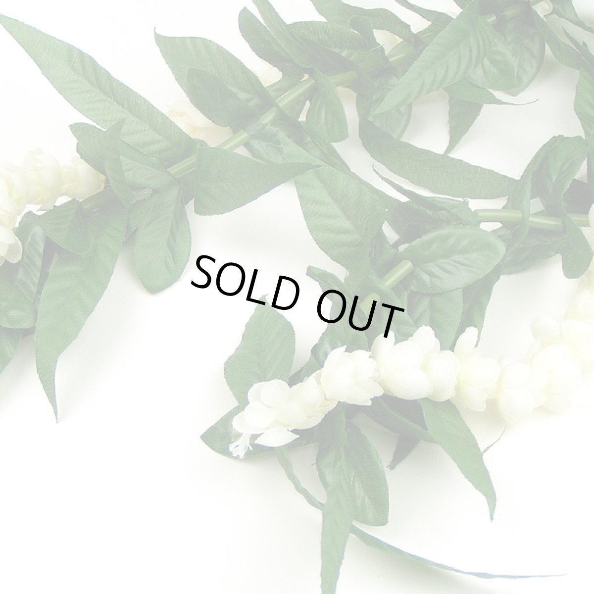 画像2: ピカケ＆マイレ・オープンレイ (2)