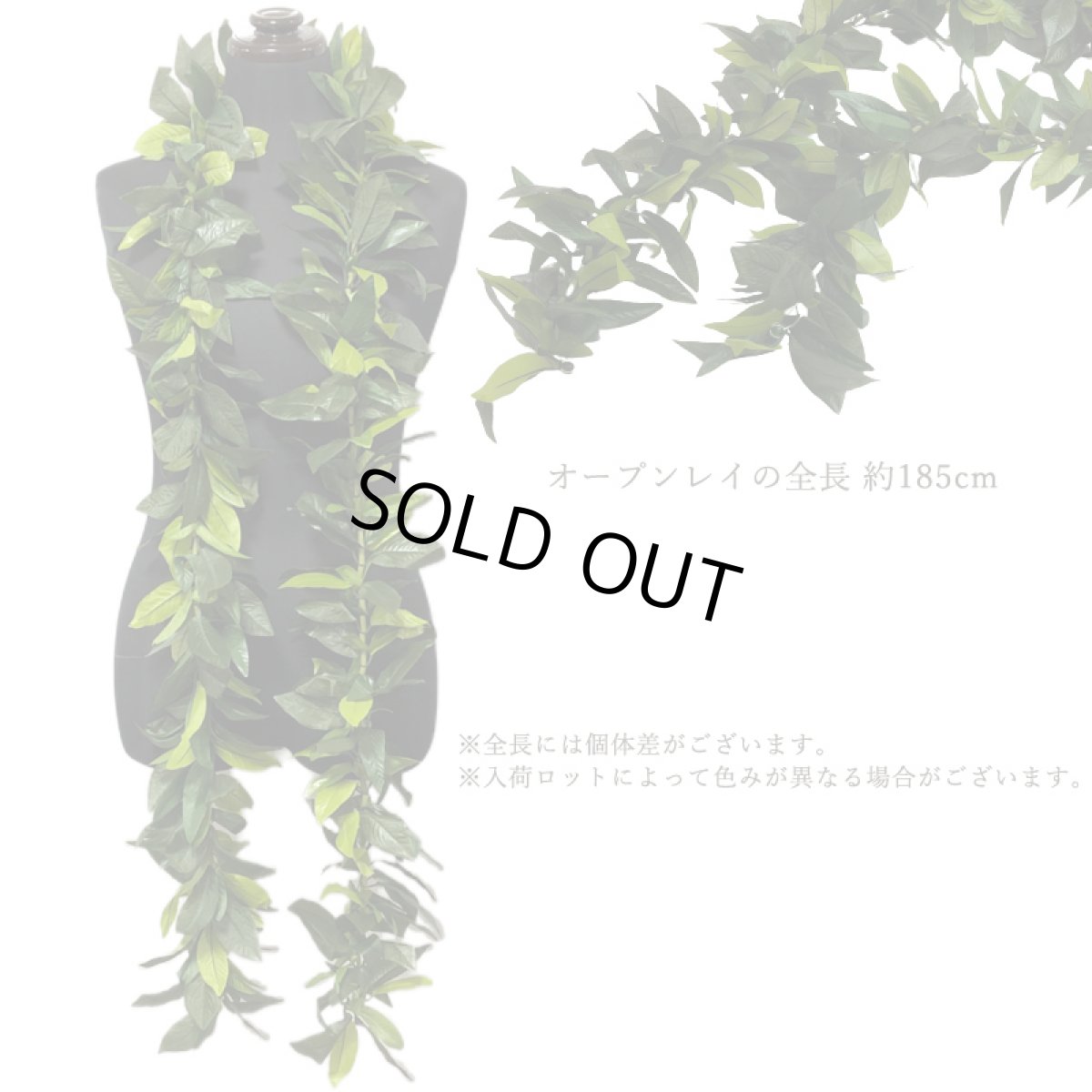 画像3: MuuMuuMama オリジナル マイレ オープンレイ (3)