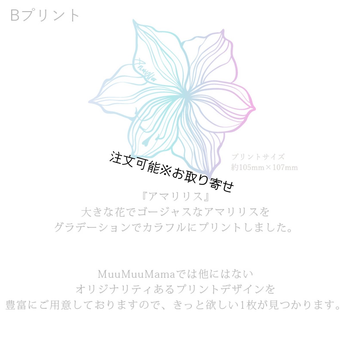 画像7: 受注生産品 好きなプリントを好きなTシャツに! プリントカスタム プリントデザイン アマリリス2プリント柄 (7)